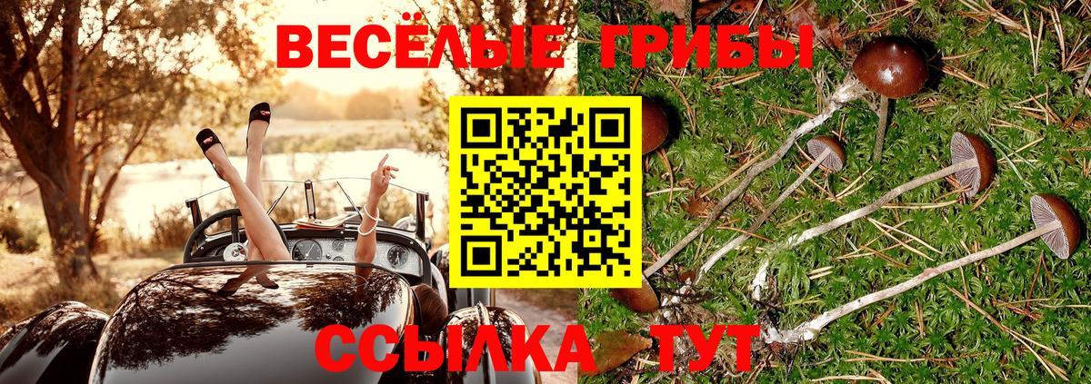 цена наркотик  Псилоцибиновые грибы MAGIC MUSHROOMS  Вход с VPN  Лосино-Петровский 